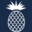 6redcedardrive.com favicon